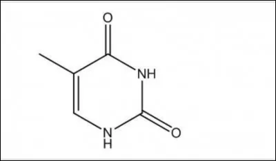 Ce nucléotide est :