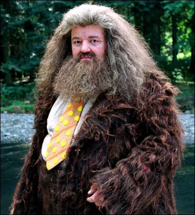 Rubeus Hagrid est né le...