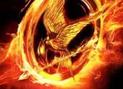 Test Qui es-tu dans Hunger Games selon tes persos prfrs ?