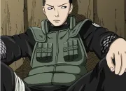 Test  combien de % es-tu Shikamaru Nara ?