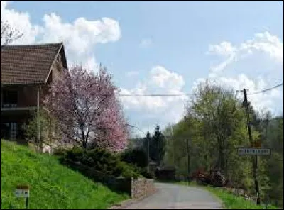 Nous commençons notre balade dominicale dans le Grand-Est, à l'entrée de Blancherupt. Petit village de 36 habitants, à 10 kilomètres de Schirmeck, il se situe dans le département ...