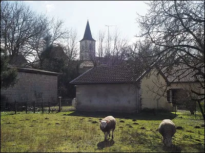 - "Du coup ici, vous n'êtes pas loin de l'Espagne ?"
- "Comme de juste ! Et c'est pour ça qu'on joue du/des... "