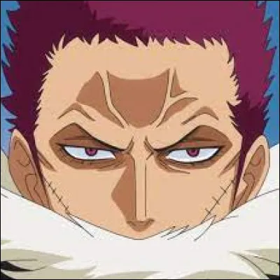 Qui sont les frères jumeaux de Katakuri ?