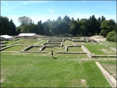 Ce peuple, établi dans l'actuelle Bourgogne, avait pour capitale l'oppidum de Bibracte et contrôlait un territoire situé entre la Loire et la Saône. Allié des Romains dès le IIe siècle, il était, selon César, le peuple le plus puissant des Gaules. Il s'agit des ...