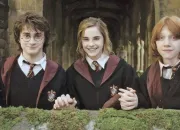 Test Harry, Ron ou Hermione ?