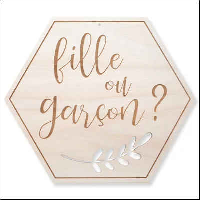 Êtes-vous une fille ou un garçon ?