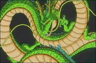 Que peut faire Shenron ?