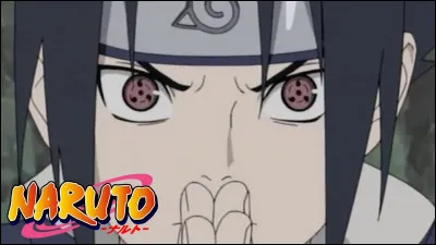 Qui Tsunade a-t-il choisi pour être chef d'équipe des personnes qui cherche Sasuke ?