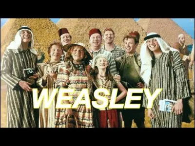 Combien y a-t-il de Weasley (en comptant les petits-enfants) et en enlevant les morts à la fin du tome 7 partie 2 ?