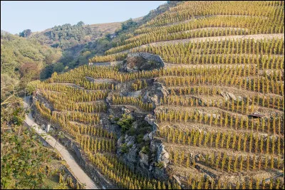 Un côte-rôtie est un vin ...