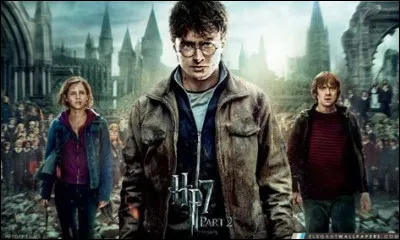 Qui a dit " Il faut beaucoup de bravoure pour faire face à ses ennemis, mais il n'en faut pas moins pour affronter ses amis." ?
(Harry Potter à l'école des Sorciers)