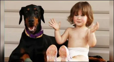 Ce doberman adopté dans un refuge a sauvé la petite Charlotte d'un serpent venimeux 5 jours seulement après son adoption, en risquant sa propre vie.
Quel est son nom ?