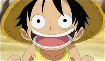 Que veut devenir Luffy plus tard ?