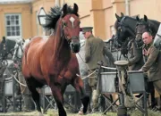 Quiz Les chevaux dans les films