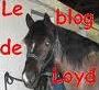 Quiz Chevaux