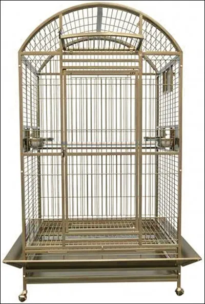 Tu es enfermé dans une cage et un garde surveille l'entrée. Que fais-tu ?