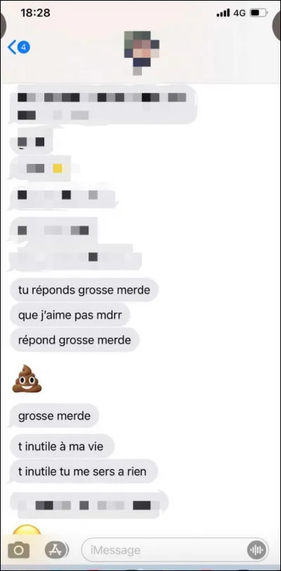 Ton copain/copine t'envoie 20 messages dans la journée qui contient des insultes pour que tu répondes ! Que fais-tu ?