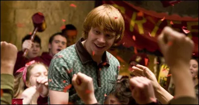 Combien sont les Weasley ?