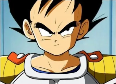 Vegeta est aussi connu sous le nom de...