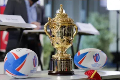 Quelle équipe a remportée l'édition 2007 de la Coupe du monde de rugby ?