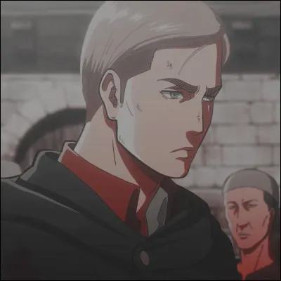 Quels sont la taille et le poids d'Erwin ?