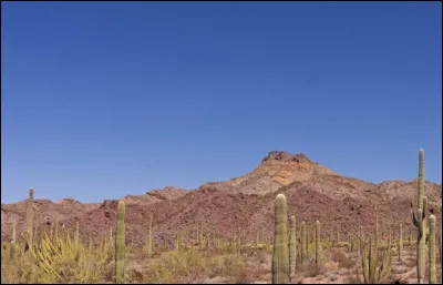 Lequel de ces déserts ne se situe pas en Amérique du Sud ? 