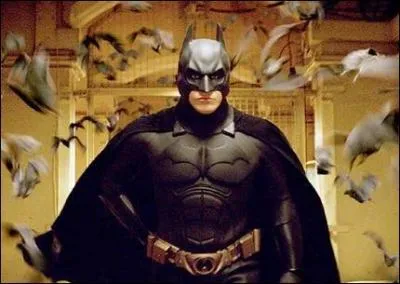 Qui interprte Batman ?