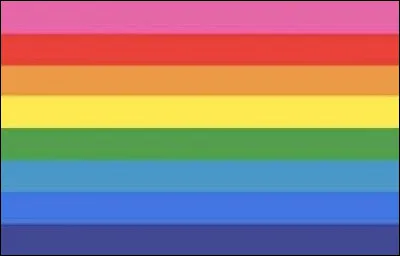 Qui créa le drapeau originel LGBT ?