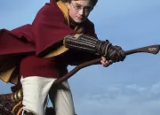 Test Quel rle joues-tu dans ''Harry Potter'' ?