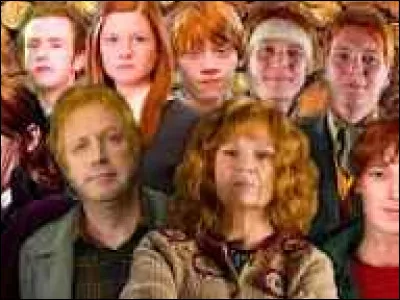 La famille Weasley est une famille de Moldus.