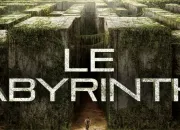 Test Quel garon du Labyrinthe est fait pour toi ?