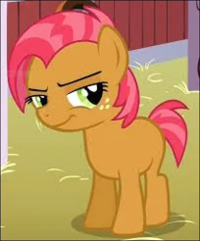 C'est la cousine d'Apple Bloom :