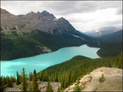 Dans quel pays pourrez-vous parcourir les grands espaces de l'Alberta ?