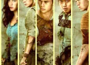 Test Thomas, Newt, Minho, Teresa ou Gally ?