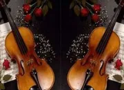 Quiz Le violoncelle