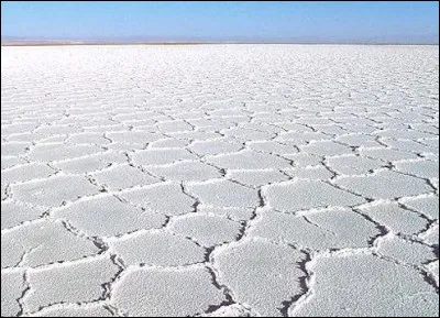 En Amérique du Sud, c'est une dépression fermée submergée d'eau salée en saison des pluies, desséchée et couverte de sel en saison sèche.