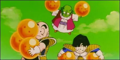 Sur la planète Namek, quel personnage a été ressuscité par Gohan et Krilin ?