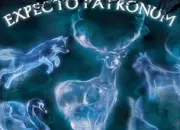 Quiz Les patronus dans Harry Potter