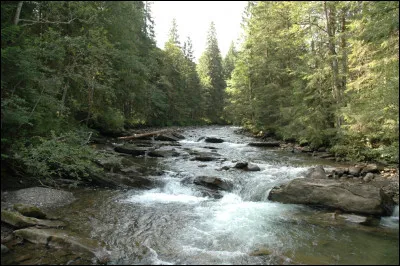 Quelle rivière marque la frontière entre la Roumanie et la Moldavie ?