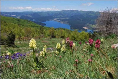 Commençons sous le soleil de Calabre. Dans quel pays sommes-nous ?