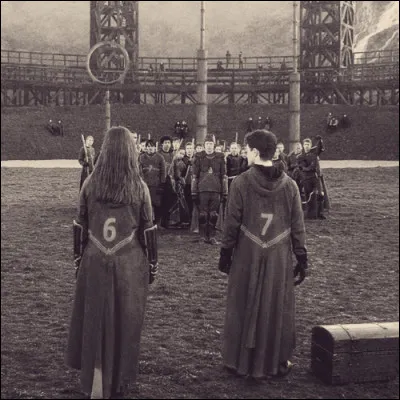 Combien de joueurs y a-t-il dans une équipe de quidditch ?