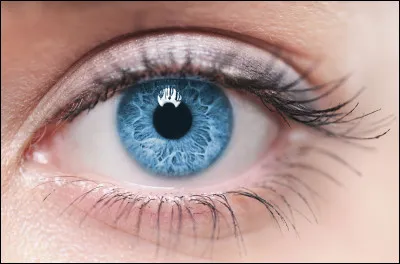 Quelle est la couleur de tes yeux ?