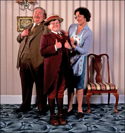 Où travaille Vernon Dursley ?