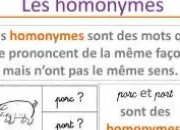 Quiz Petit exercice sur les homonymes