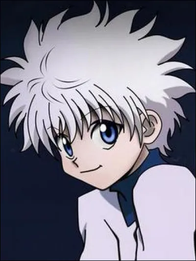 Comment s'appelle ce personnage d'Hunter x Hunter ?