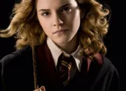 Quiz Connais-tu Harry Potter aussi bien que tu le crois ?