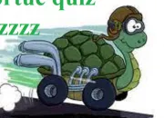 Quiz  fond la tortue !