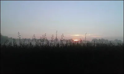 À quel chanteur doit-on le titre "Petit matin 4h10 d'été" ?