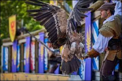 Quel est le nom du spectacle où il y a des oiseaux ?