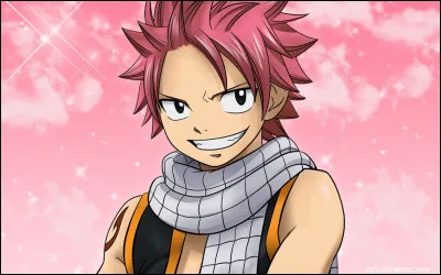 Quel est le pouvoir de Natsu ?